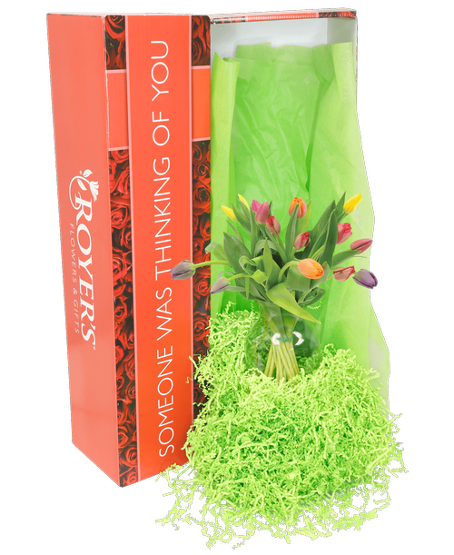 A box of tulips, carefully packed and delivered in box with included vase. Tulip colors will vary.

