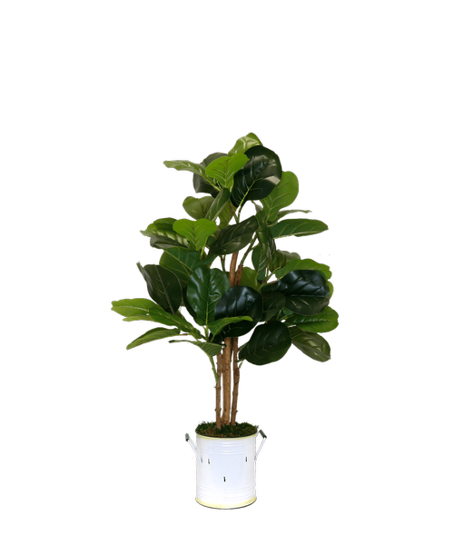 Silk 3' Fiddle Leaf Tree in a white metal tin with handles and a colored rim