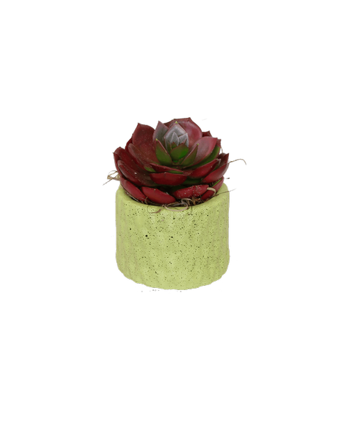 A 2 inch x 2.25 inch round green pot holds a small silk succulent plant. Overall 3 inchH x 2.5 inchW