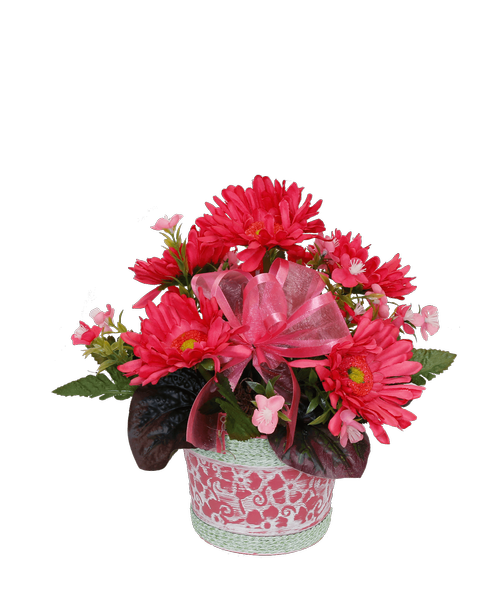 A 5 inch pink and green tin holds an all around silk arrangement with hot pink gerbera daisies, pink waxflower, and a pink bow. 9.5 inchH x 10 inchW