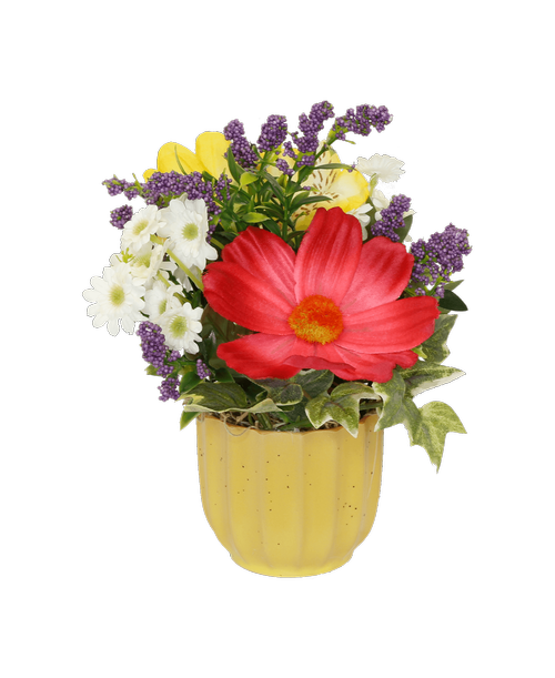 A2.5 inchH yellow pot holds an all around silk arrangement with a hot pink cosmos, a yellow alstroemeria, white mini daisies, and purple berries. 7 inchH x 8 inchW