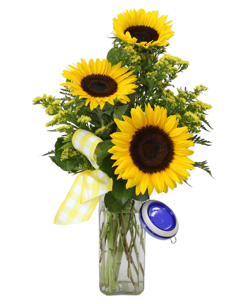 The Summer's Kiss arrangement is a cheerful and rustic gift for any occasion. It features three bright sunflowers, yellow solidago, and a checked ribbon in a glass jar with a blue lid. The jar is a canning jar that adds a touch of country charm to the one-sided arrangement. 25 inchH x 9 inchW