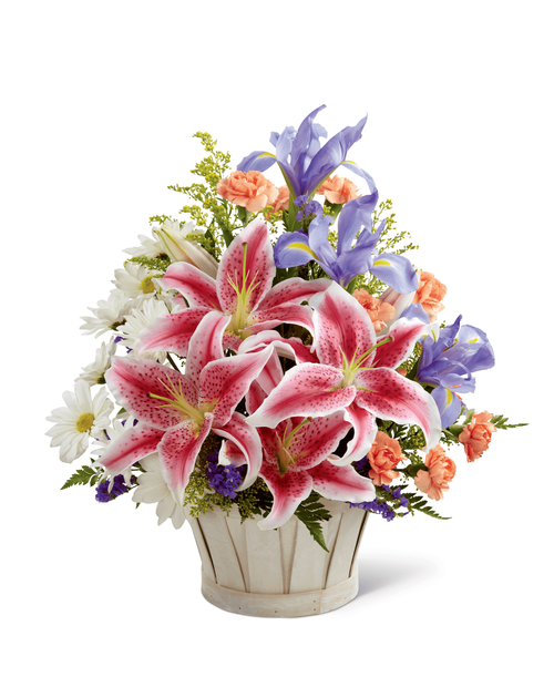 The FTD Wondrous Nature Bouquet is bountifully bedecked with a dazzling display of color and beauty. Stargazer lilies stretch their fuchsia petals out amongst an arrangement of blue iris, white traditional daisies, orange mini carnations, purple statice, and yellow solidago in a round whitewash handled basket, creating a delightful bouquet your special recipient will adore. 13 inchW x 16 inchH