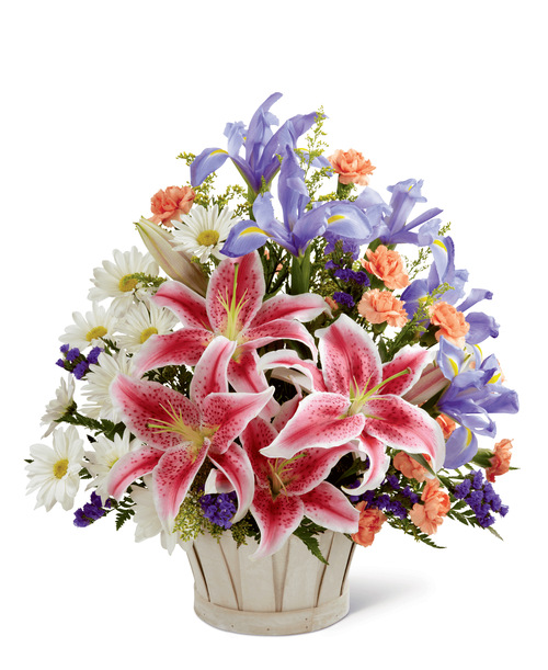The FTD Wondrous Nature Bouquet is bountifully bedecked with a dazzling display of color and beauty. Stargazer lilies stretch their fuchsia petals out amongst an arrangement of blue iris, white traditional daisies, orange mini carnations, purple statice, and yellow solidago in a round whitewash handled basket, creating a delightful bouquet your special recipient will adore. 14 inchW x 17 inchH