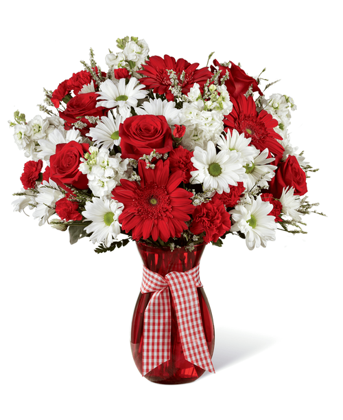 As perfect as a summer day, this flower arrangement has a sweet look and style that is set to delight your recipient with each bold bloom. Bright red gerbera daisies, carnations, mini carnations, and roses catch the eye against a back drop of clean white daisies, gilly flower, and limonium, accented with lush greens. Presented in a red glass vase tied with a red and white gingham ribbon for that extra special touch, this beautiful flower bouquet is ready to celebrate a birthday, anniversary, or as a way to send your congratulations wishes. Approx. 17 inchH x 15 inchW.