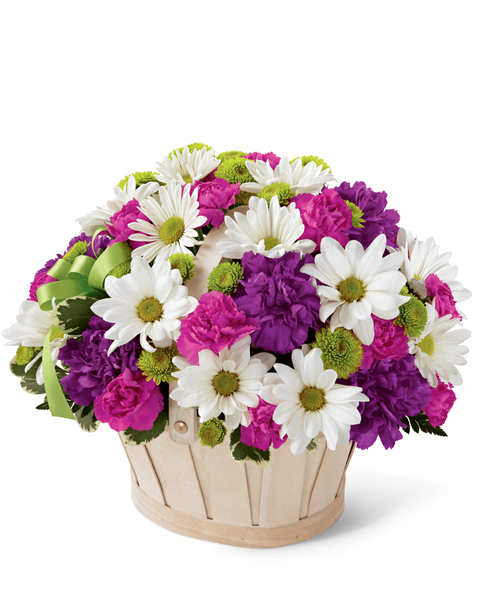 This pretty basket is sure to cheer up anyone's day. This white-wash handled basket is filled with green button pompons, white daisy pompons, hot pink mini carnations and purple carnations. A lavender ribbon bow completes your best wishes. 12 inchWx10 inchH
