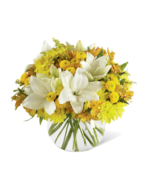 Make today their special day, lit with sun-kissed blooms and happy surprises. White Asiatic Lilies stretch their clean star-shaped petals across a bed of yellow Peruvian Lilies, chrysanthemums, button poms, and solidago accented with lush greens presented in a clear glass bubble bowl vase to create a flower bouquet blooming with warm wishes at every turn. A memorable thank you, birthday, or get well gift! Approx. 14 inchH x 14 inchW.
