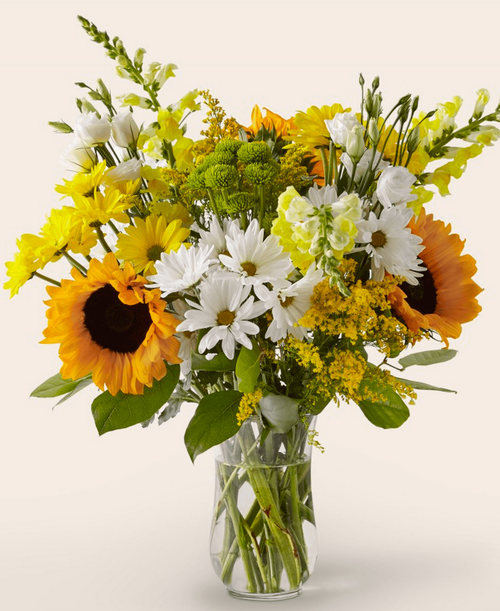 Give a dose of sunshine in bloom. A beautiful bouquet to deliver the perfect pick-me-up for an occasion or as a treat to yourself. 20 inchHx18 inchW