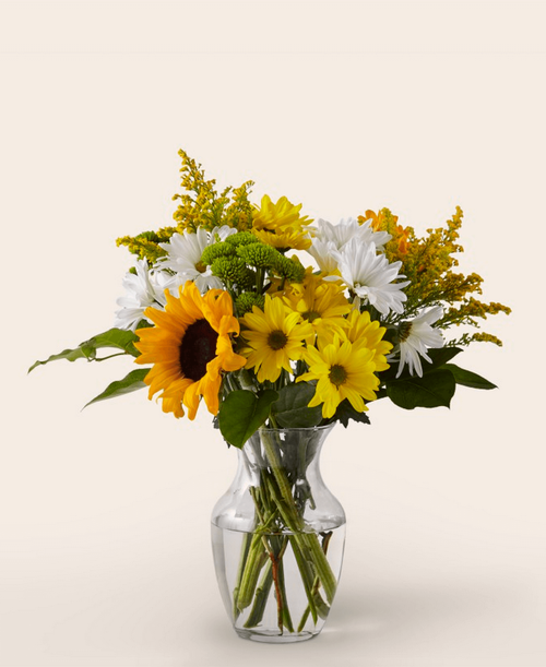 Give a dose of sunshine in bloom. A beautiful bouquet to deliver the perfect pick-me-up for an occasion or as a treat to yourself. 17 inchHx15 inchW